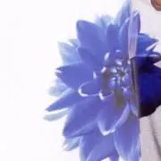 むぎ