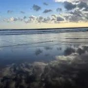 ゆうの画像