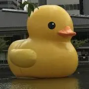 隊長の画像