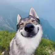 小栗らららの画像
