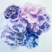 eの画像