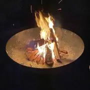 orieの画像