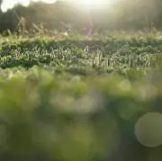 時雨※プロフ拝読お願いします♪