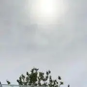いよの画像