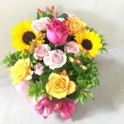 なつごんの画像