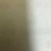 たまごの画像