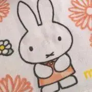 夏の画像