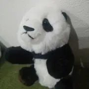 Chaca