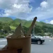 はーにゃの画像