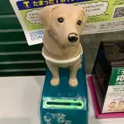 ぴょん