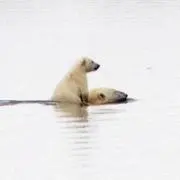 slowjamの画像