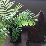三日月 (自己紹介必読)の画像