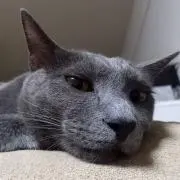 ちゃん