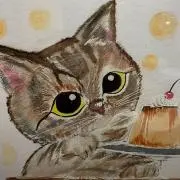 猫の画像