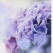 のんSMILE☻* 即購入可　早期発送♪の画像