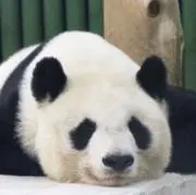 毎日元気！の画像