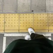 たんたんの画像