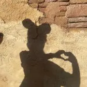 しろうさぎの画像