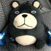 紹介文確認して。