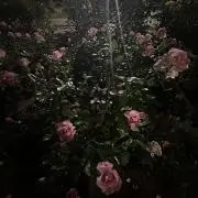 g(値下げ依頼⭕️)の画像