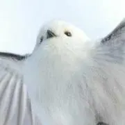 はむの画像