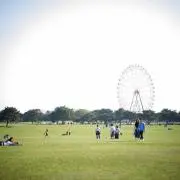 ゆゆゆの画像