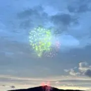 しらす