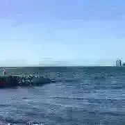 くろ(自宅への配送、受け取り不可)