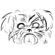 toshi