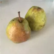 ochiisan