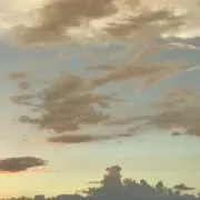 ハムハムの画像