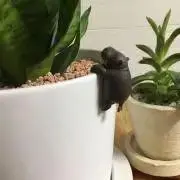 R2  ☺︎プロフィール必読☺︎の画像