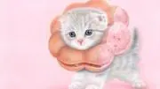 サチの画像