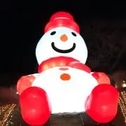 こもれびの画像