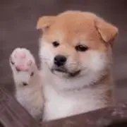 tcotton♡の画像