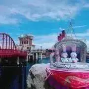櫻井葵の画像