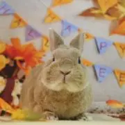 Yuki