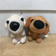 わんこの画像