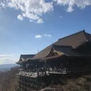 Sの画像