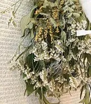 ハルの画像