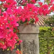 みいの画像