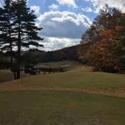 こばちゃんの画像