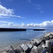 でんぱの画像