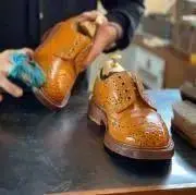ぷちおの画像