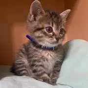 みの画像