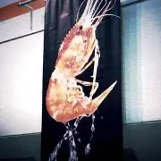じぇじぇ