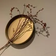 Mの画像