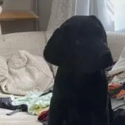 そうたの画像