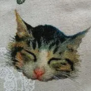 tomo