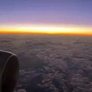 ツグツグの画像